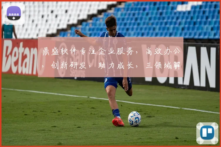 鼎盛软件专注企业服务，高效办公，创新研发，助力成长，三领域解决方案提供商，引领行业未来。