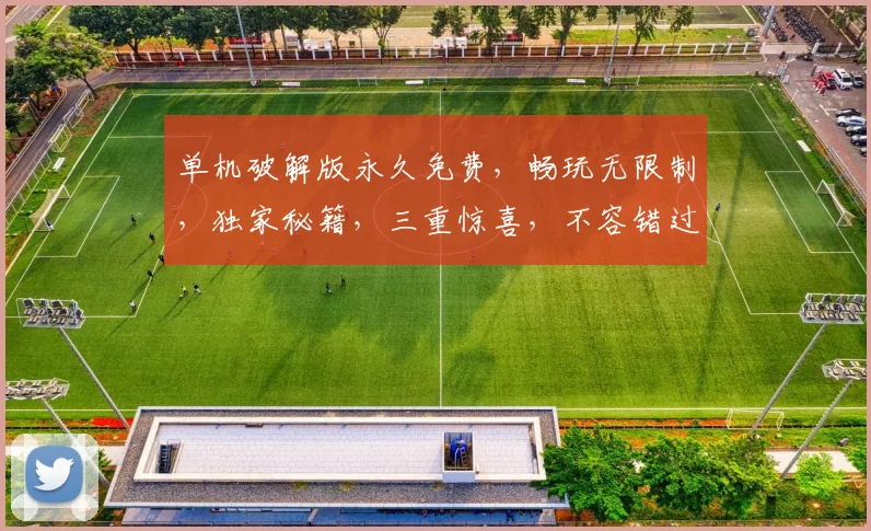 单机破解版永久免费，畅玩无限制，独家秘籍，三重惊喜，不容错过，快来体验