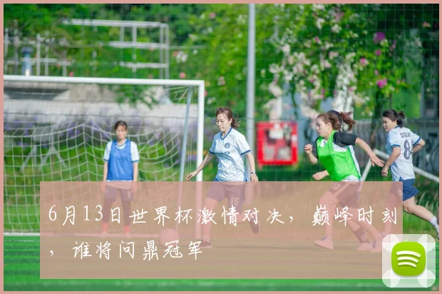 6月13日世界杯激情对决，巅峰时刻，谁将问鼎冠军