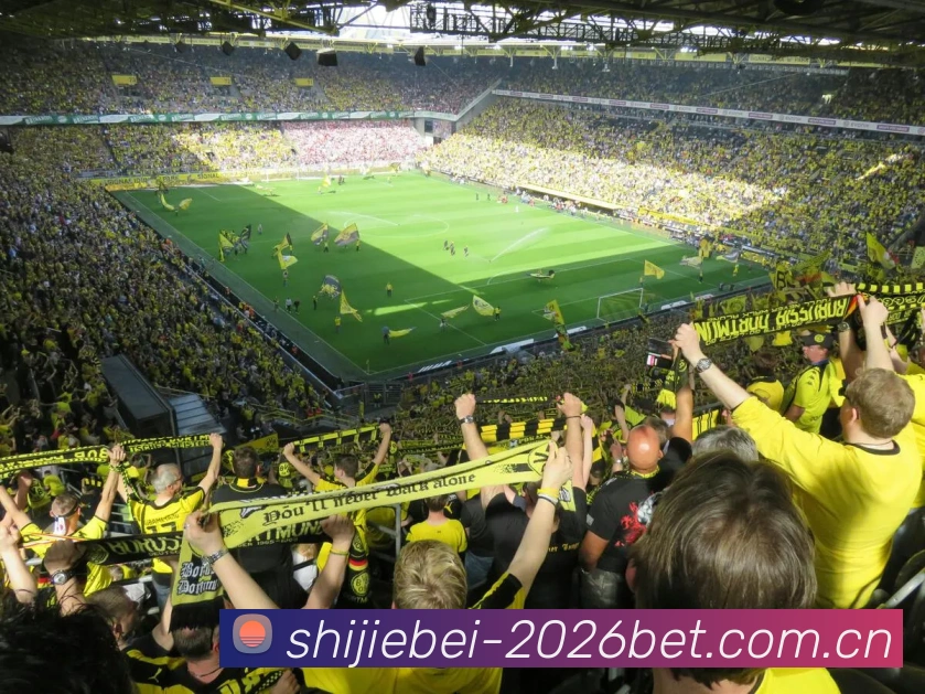 2026世界杯投注平台品牌故事